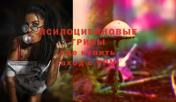 таблы Краснослободск