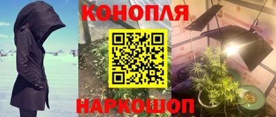 сатива Кандалакша