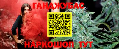 сатива Кандалакша