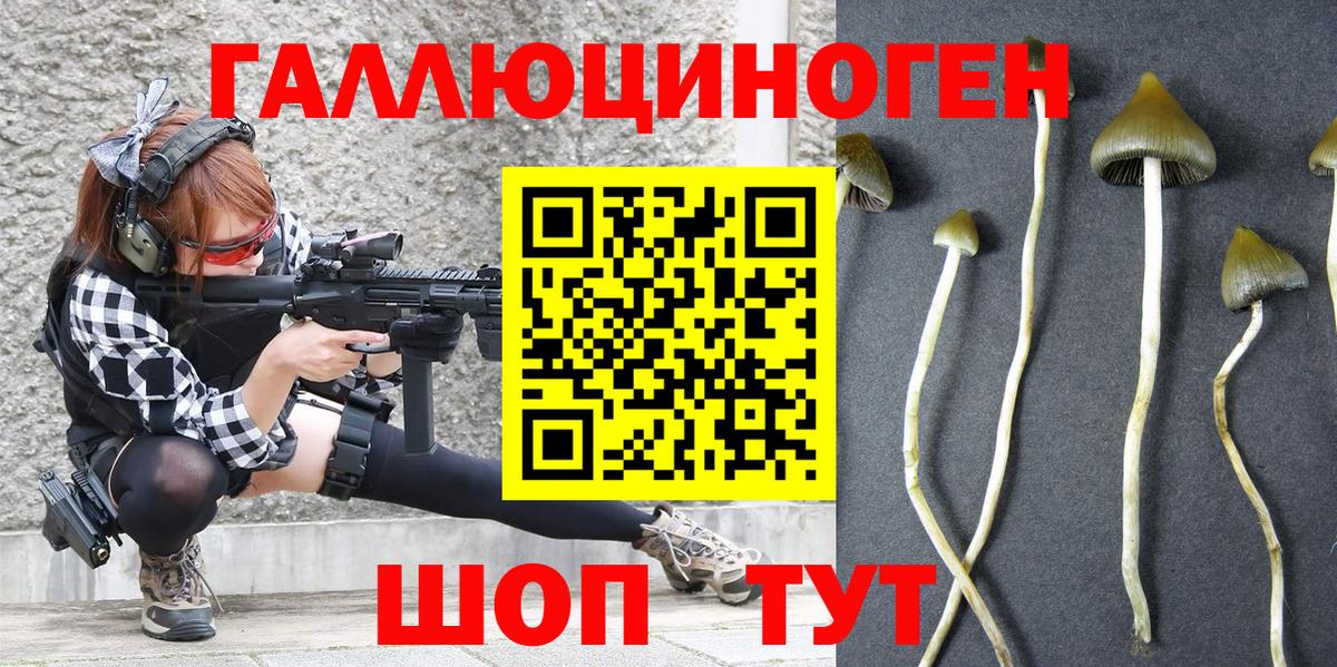 Галлюциногенные грибы Psilocybe  Галлюциногенные грибы ЛСД  Усть-Илимск 