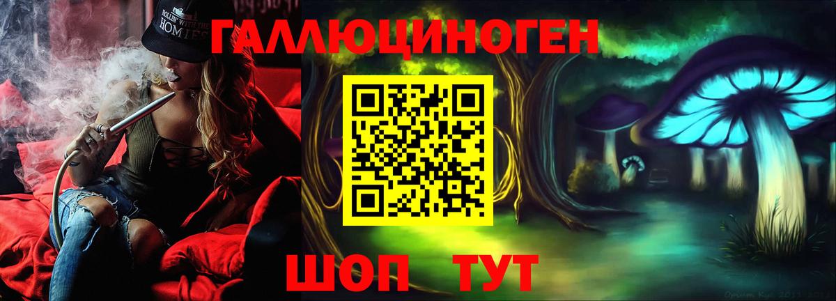 Галлюциногенные грибы Psilocybe Усть-Илимск